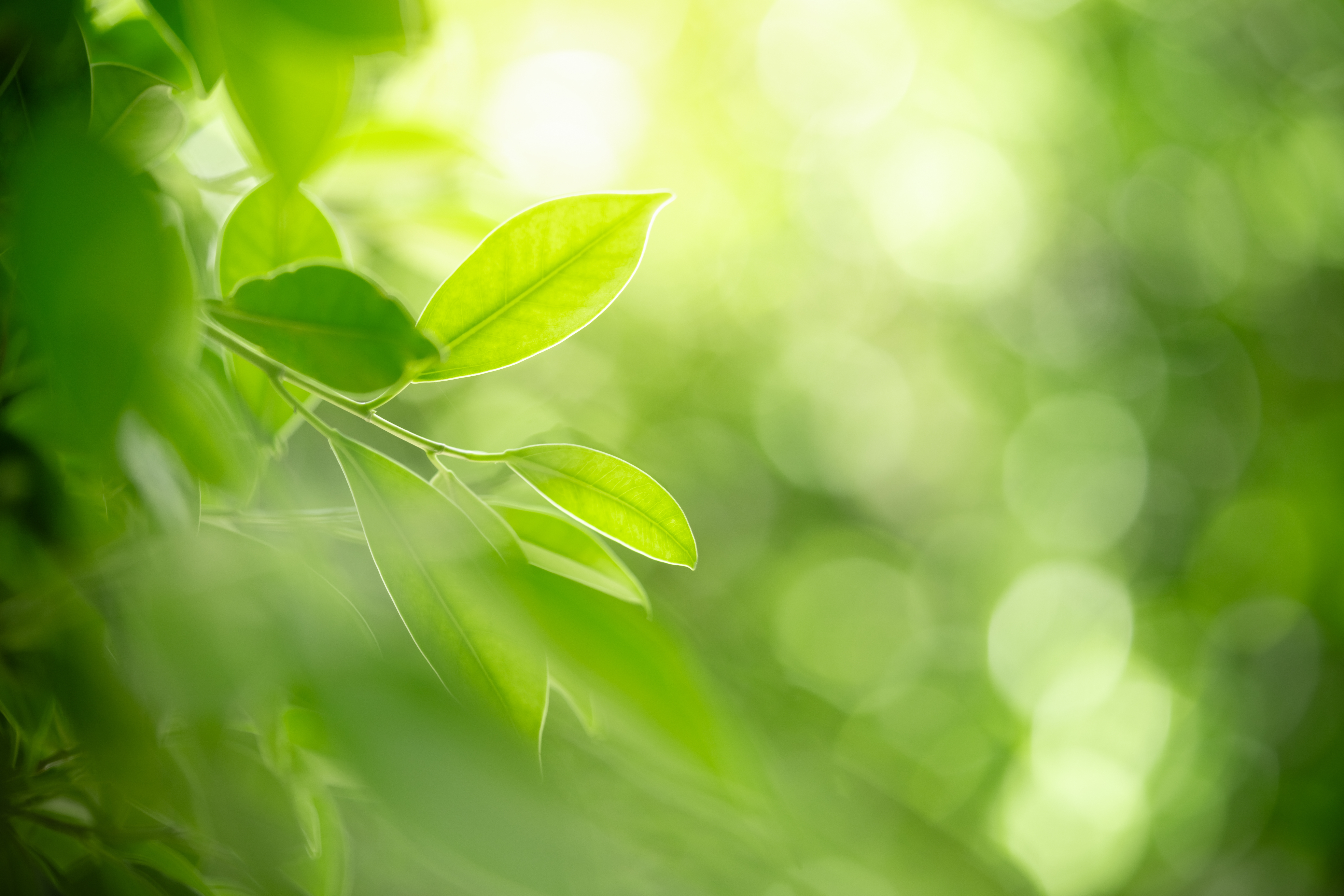 duurzaamheid bedrijfsvoering eurolacke